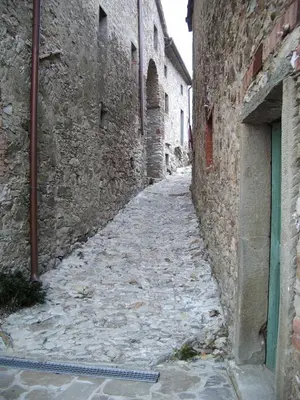 Planimetria di Az. Agr. IL PARADISO di Beatrice Bondielli
