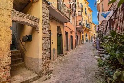 Il quartiere o una zona nella vicinanze dell'appartamento