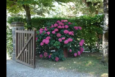 Giardino di B&B CorteBonomini entire home