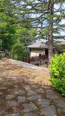 Planimetria di Casa del toni