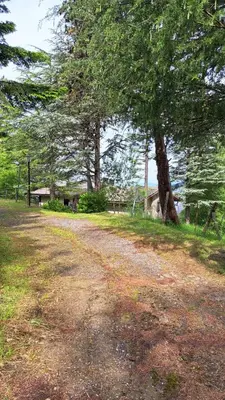 Paesaggio naturale nelle vicinanze dell'appartamento