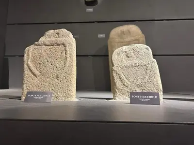 Planimetria di La Finestra sul Parco