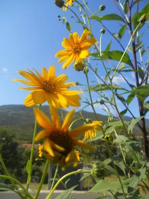 Paesaggio naturale nelle vicinanze dell'appartamento