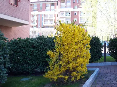 Giardino di B&B Il Parco