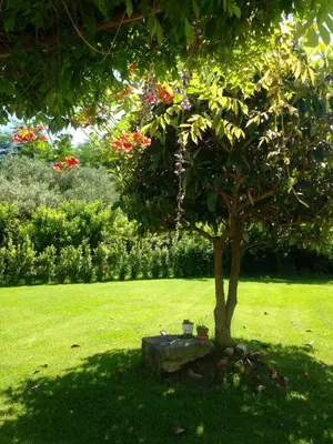 Giardino di Appartamento i Due Noci