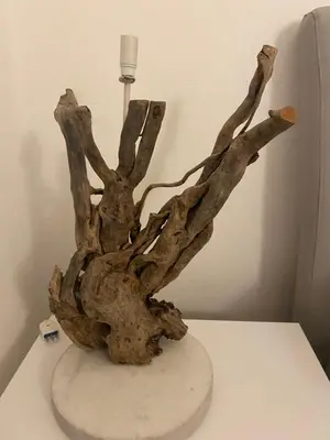 Planimetria di La bella vista