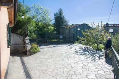 Planimetria di Domus Milli