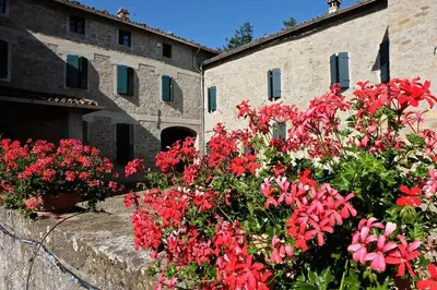 Giardino di B&B Cortebonomini apartment