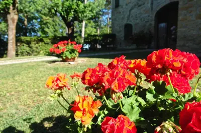 Giardino di B&B Cortebonomini apartment
