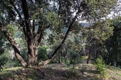 Paesaggio naturale nelle vicinanze dell'agriturismo