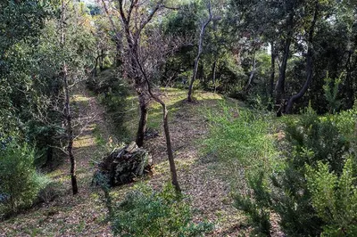 Giardino di Agriturismo Villa Bardi struttura con camere vista mare