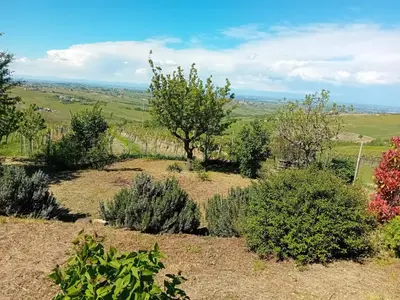 Paesaggio naturale nelle vicinanze della villa