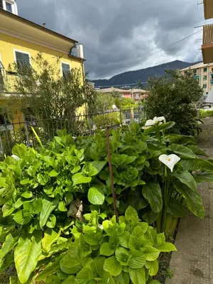 Vista generica sulle montagne o vista sulle montagne dall'interno dell'appartamento
