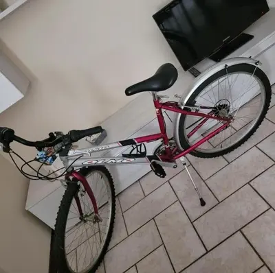 Attività di ciclismo presso l'appartamento o nelle vicinanze