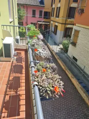 Giardino di Easy House appartamento centro