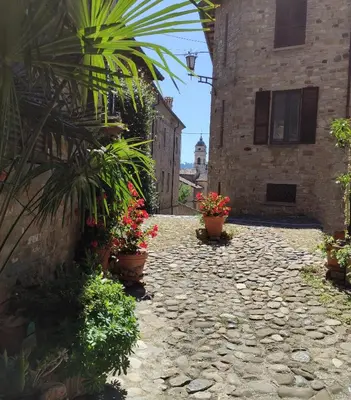 Planimetria di Palazzo Mane