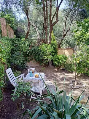 Giardino di L' eden di Erasmo