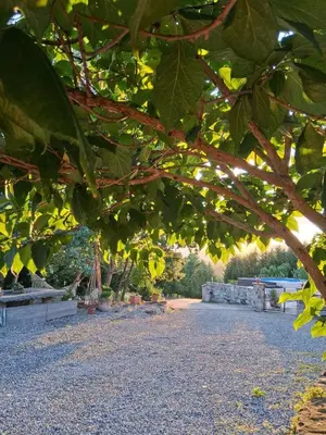 Giardino di B&B La Rasora
