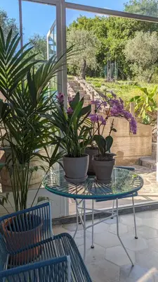 Giardino di Villa Sarita