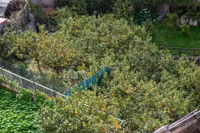 Giardino di Monterosso view apartment 5 Terre
