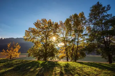 Paesaggio naturale nelle vicinanze dell'appartamento