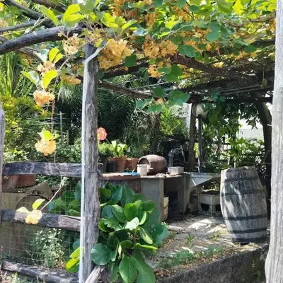Casa indipendente silenziosa