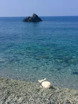 Paesaggio naturale nelle vicinanze dell'appartamento
