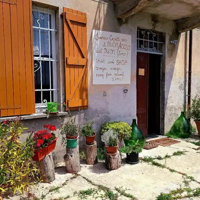 Giardino di Casa Vacanze PetFriendly tra i Vigneti