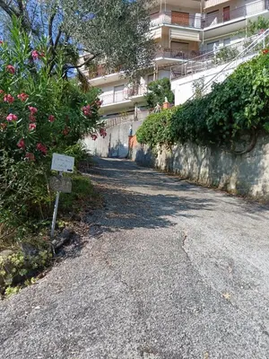 Planimetria di Ilgattonero