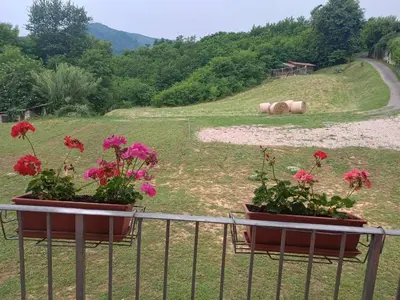 Paesaggio naturale nelle vicinanze dell'affittacamere