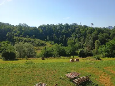 Paesaggio naturale nelle vicinanze dell'affittacamere