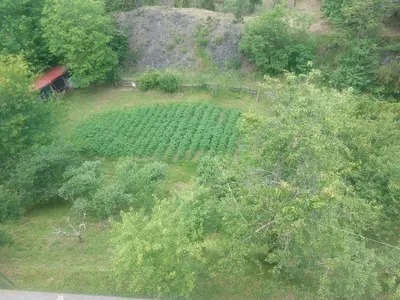 Paesaggio naturale nelle vicinanze dell'affittacamere