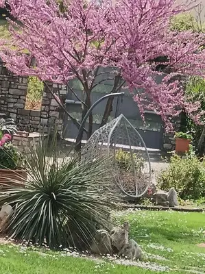 Giardino di Gli Ulivi