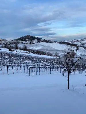 Agriturismo Poggiacolle durante l'inverno
