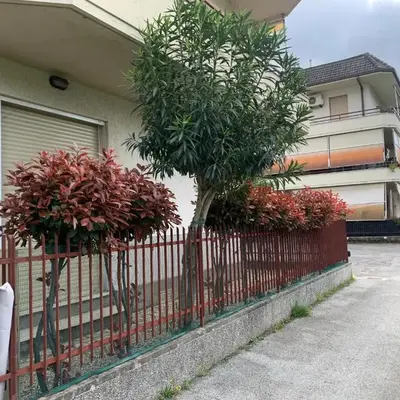 IL TUCANINO con giardino e parcheggio