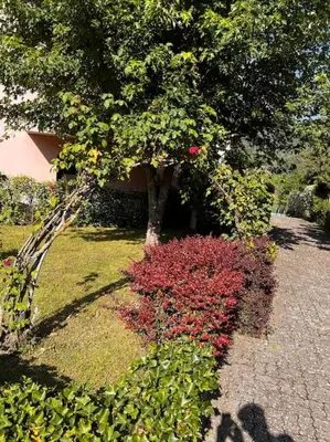 Giardino di Holiday Home - Italo & Dada
