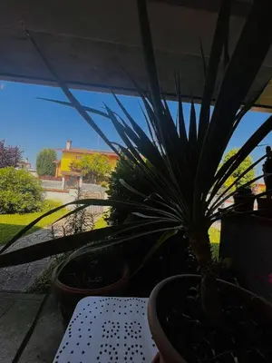 Giardino di Civico 21-FreeParking