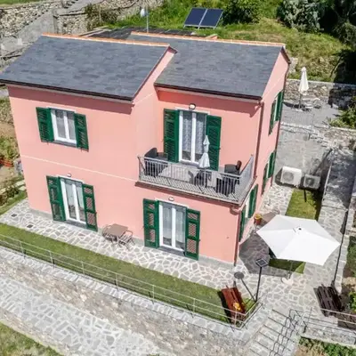 Il Vigneto