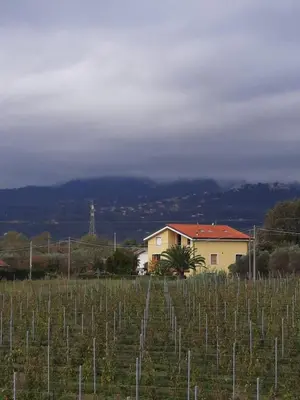 Paesaggio naturale nelle vicinanze dell'affittacamere