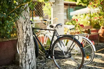 Attività di ciclismo presso lo chalet o nelle vicinanze