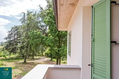 Giardino di Il Profumo dei Tigli R&B, elegante casa nuova a Formigine