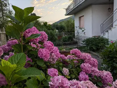 Giardino di La casa di Cisotta