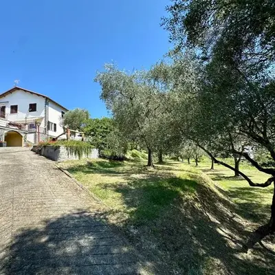 Agriturismo Uliveto Bartolomeo