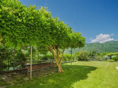 Paesaggio naturale nelle vicinanze della villa