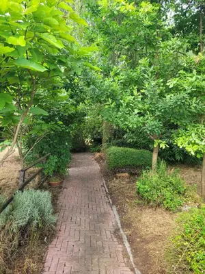 Giardino di B&B Arcadia