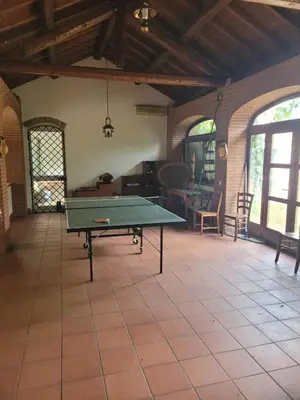Attrezzature per ping pong presso B&B Arcadia o nelle vicinanze