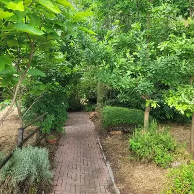 B&B Arcadia