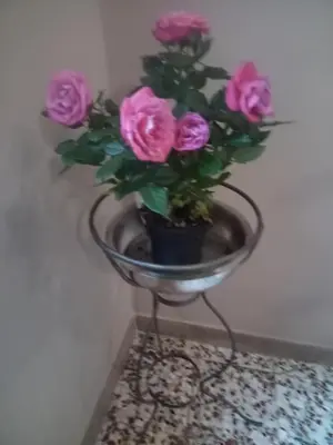 Planimetria di Bardi al Riolo Betulla appt