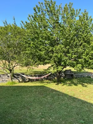 Paesaggio naturale nelle vicinanze della casa vacanze