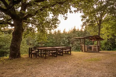 Giardino di Abissinia, Gioiello nel Bosco